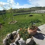 Assos Tas Ev 2 Oda Salon Mutfak Denize Yakin Bahce Veranda * Ayvacik (Canakkale)