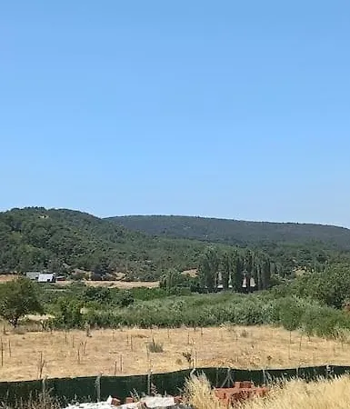 Hébergement de vacances Assos Egedebirnefes Kir Evi *
