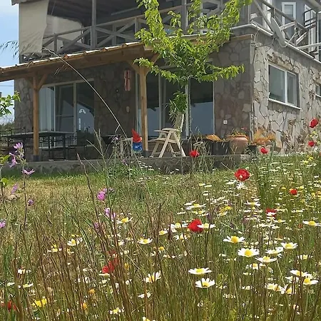 Egedebirnefes Assos * Ayvacik (Canakkale)