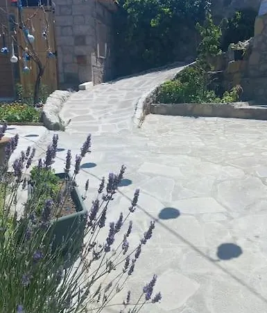 Egedebirnefes Assos
