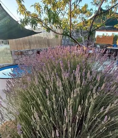 Egedebirnefes Assos Holiday home *