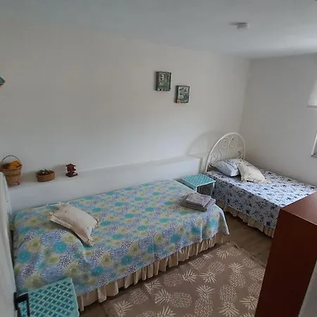 Assos Egedebirnefes Kir Evi *