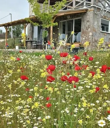 Assos Egedebirnefes Kir Evi