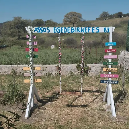 Assos Egedebirnefes Kir Evi