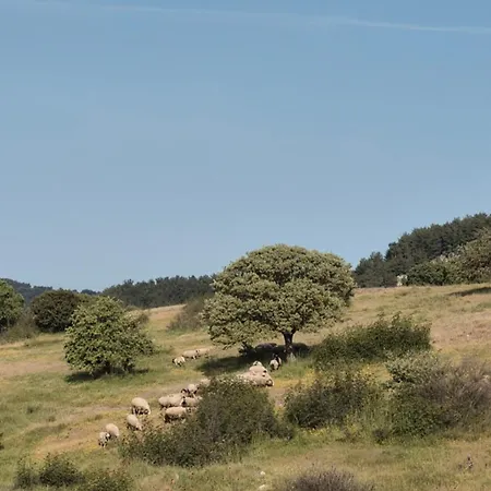 Assos Egedebirnefes Kir Evi Hébergement de vacances